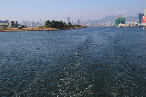 the Kai Tak Cruise Terminal is opened at kowloon