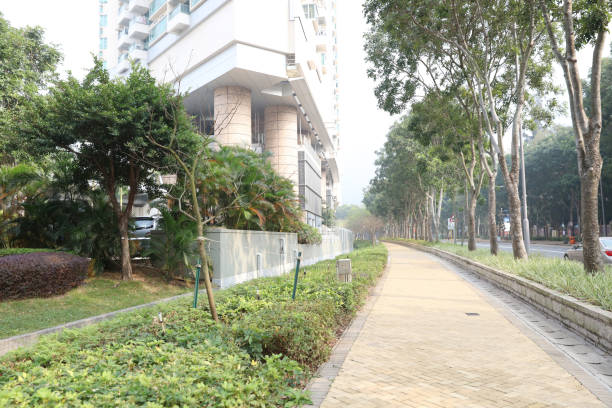 istock Tat Tung Rd, Tung Chung 803558974