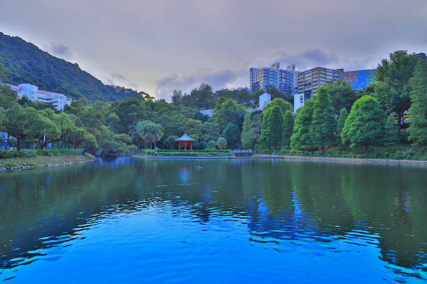 istock CUHK Reflection of the Lake Shatin 803559188
