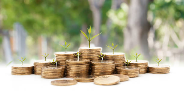 istock money concept money coin stack growing graph with green background 803561876