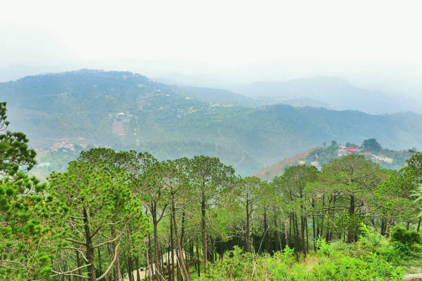 Kasauli - a small hill station in Himachal Pradesh. Snow-clad mountains, dense forests and a pleasant climate make Kasauli a major attraction among tourist.