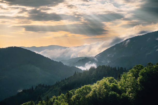 istock Mountain hill with fog and sunbeam at sunrise 803583604