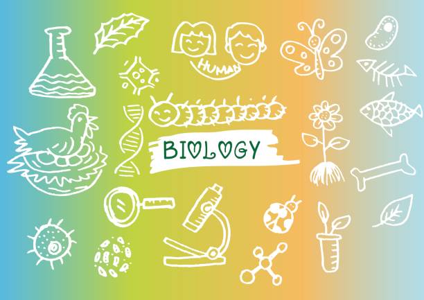 szkice ręczne na temat biologii. - cake symbol icon set computer icon stock illustrations