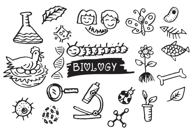 szkice ręczne na temat biologii. - cake symbol icon set computer icon stock illustrations