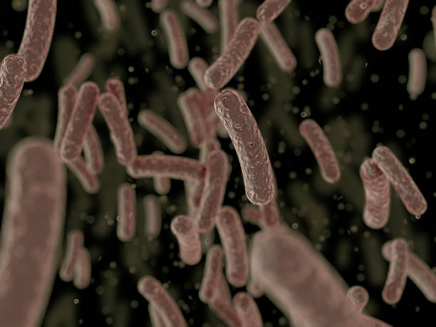 Bacteria, Microbes, Bacterial colony stock photo