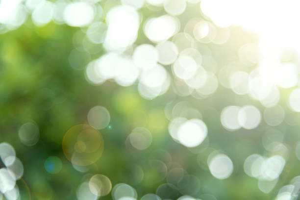 istock Green summer bokeh ray of light use for background 803612740