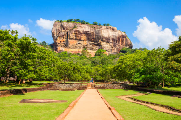 istock Sigiriya Rock, Sri Lanka 803613218