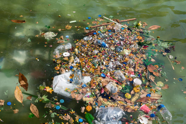 istock Plastic bottles and other pollutants floating on the surface, 803613564