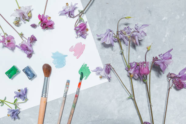 istock Aquarelle and aquilegia 803619192