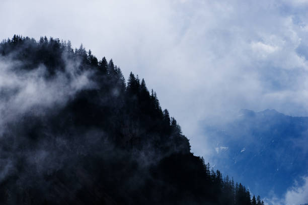 istock Forested mountain and low clouds in bavarian alps 803619388