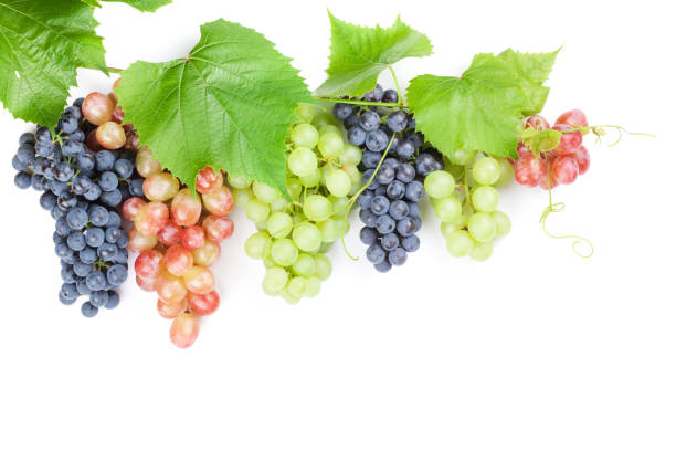 istock Bunch of red, purple and white grapes 803619530