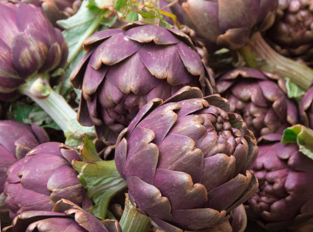 istock Close up of purple artichokes 803625020