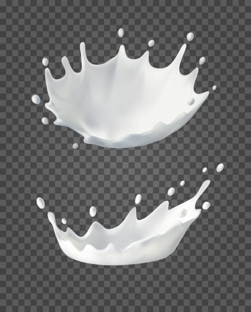 ilustrações de stock, clip art, desenhos animados e ícones de milk splashes and drops. 3d realistic white liquid crown. vector drink on transparent background. natural dairy products - dairy farm liquid food and drink splashing