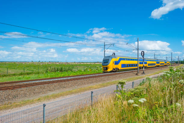 istock Railroad through a natural park in summer 803631172