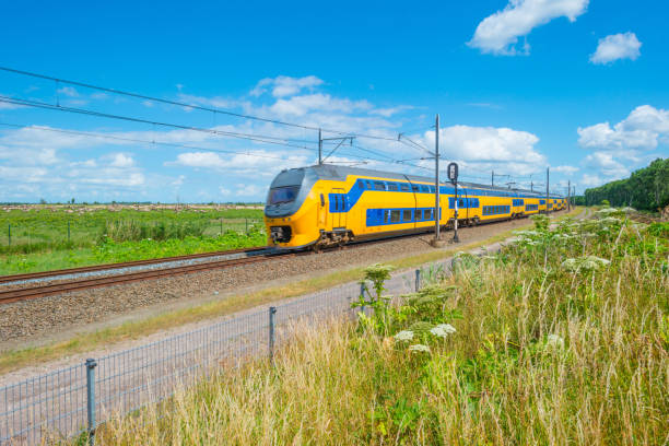 istock Railroad through a natural park in summer 803631242
