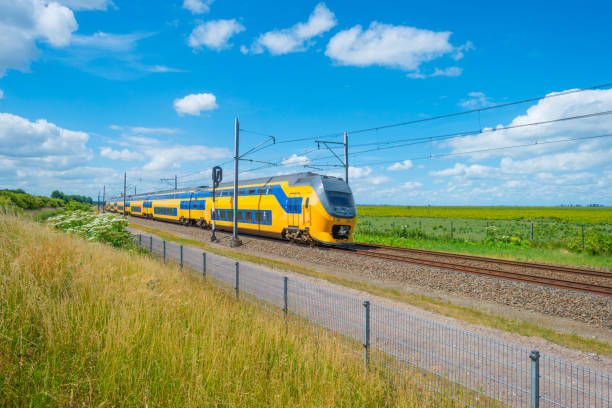 istock Railroad through a natural park in summer 803631284