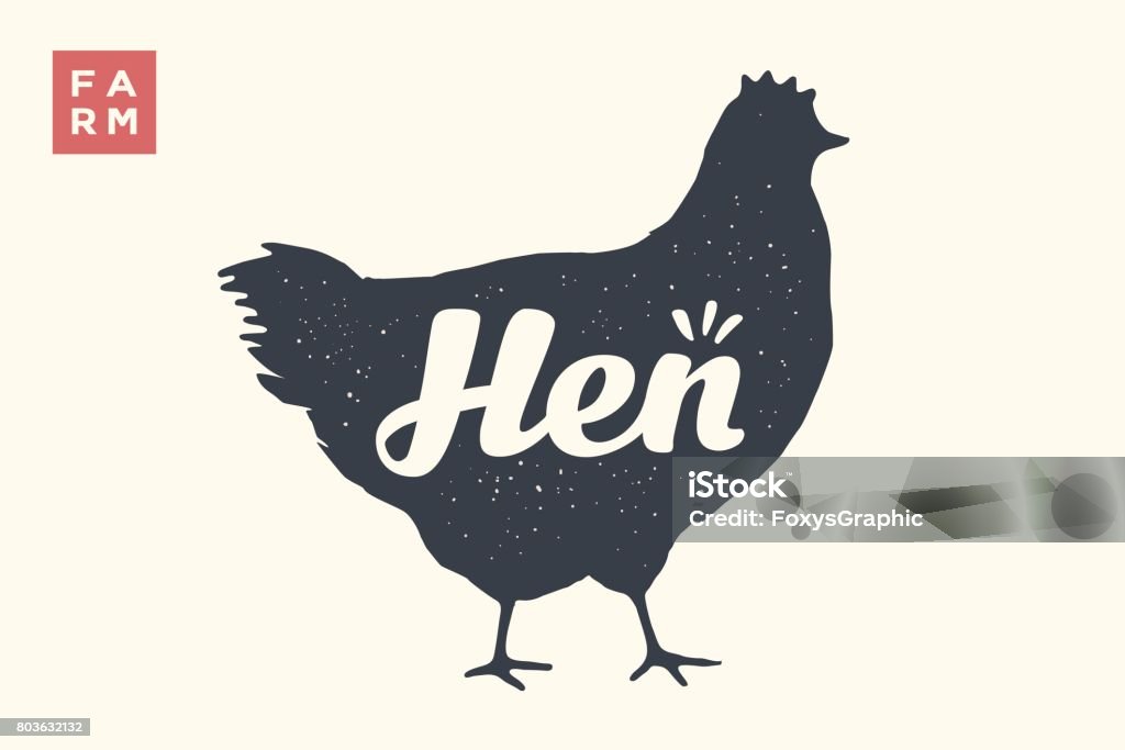 Isolated hen silhouette with lettering Farm animals set. Isolated Hen silhouette and words Hen, Farm. Creative graphic design with lettering Hen for butcher shop, farmer market. Poster for animals theme. Vector Illustration Chicken - Bird stock vector