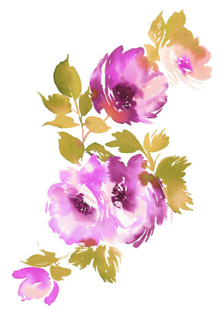 istock Flowers watercolor illustration 803643480