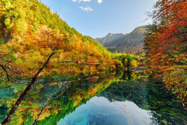 istock Fantastic view of fall woods reflected in the Five Flower Lake 803643784