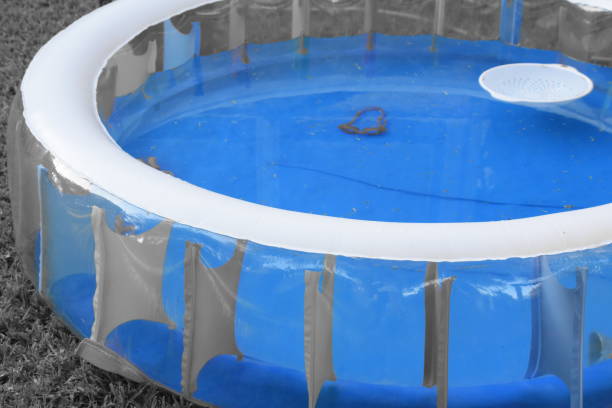 istock Inflatable swimming pool 803647260