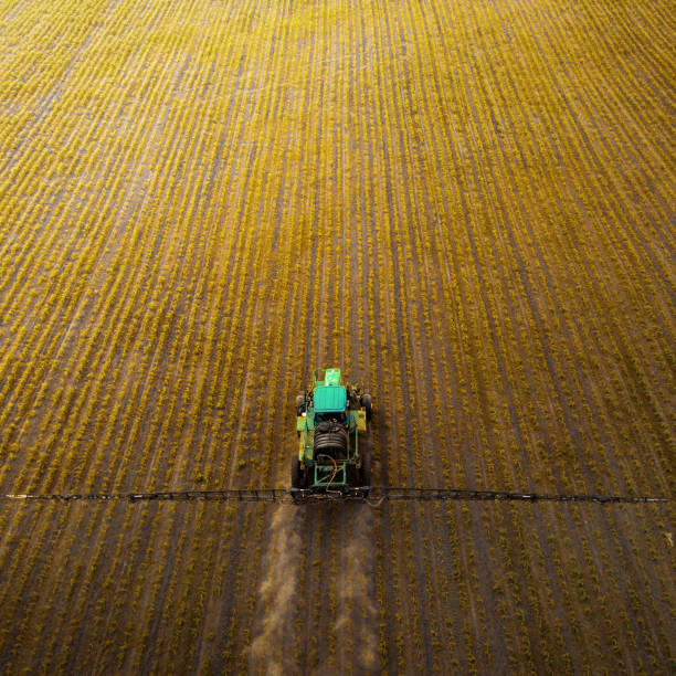 The tractor spraying the field with chemicals in the spring A blue tractor moves through the spring field and sprays fertilizers on plants planted on it. Spring processing of agricultural crops. View from above. Aerial view landscape arch photos stock pictures, royalty-free photos & images