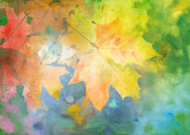 illustrazioni stock, clip art, cartoni animati e icone di tendenza di sfondo autunnale acquerello - maple tree autumn textured leaf