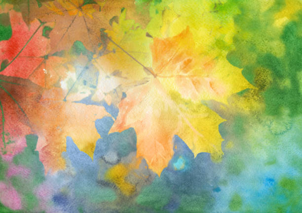 Watercolor autumn background Watercolor autumn background autumn orange maple leaf tree stock illustrations