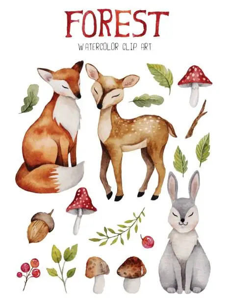 Vector illustration of Watercolor clipart with cute forest elements.