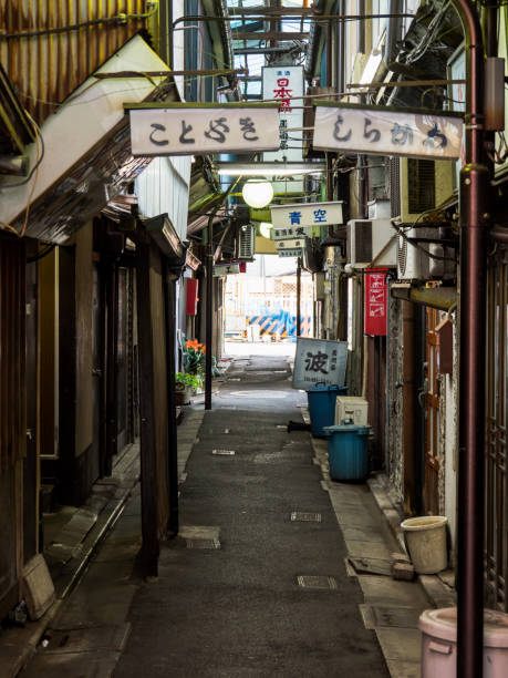 istock Tateishi, Tokyo Japan 803661934