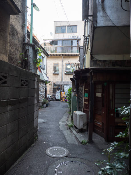 istock Tateishi, Tokyo Japan 803661954