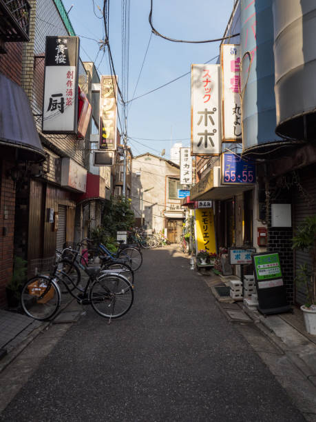 istock Tateishi, Tokyo Japan 803662056