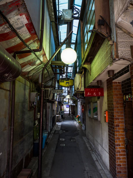 istock Tateishi, Tokyo Japan 803662106