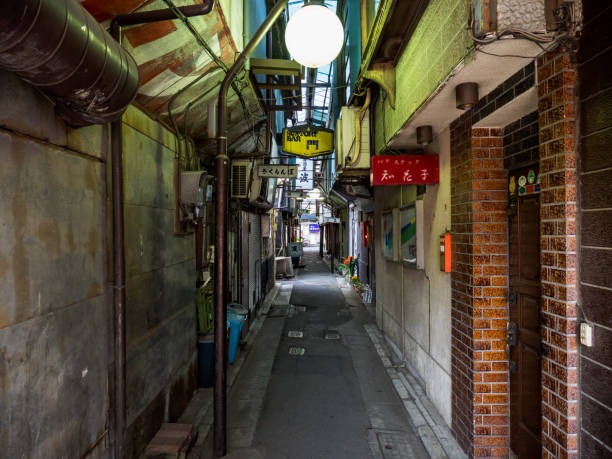 istock Tateishi, Tokyo Japan 803662146
