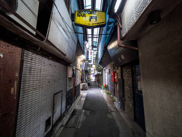 istock Tateishi, Tokyo Japan 803662184