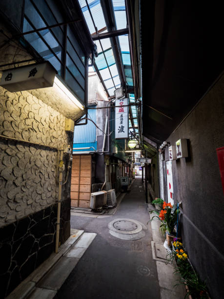 istock Tateishi, Tokyo Japan 803662194