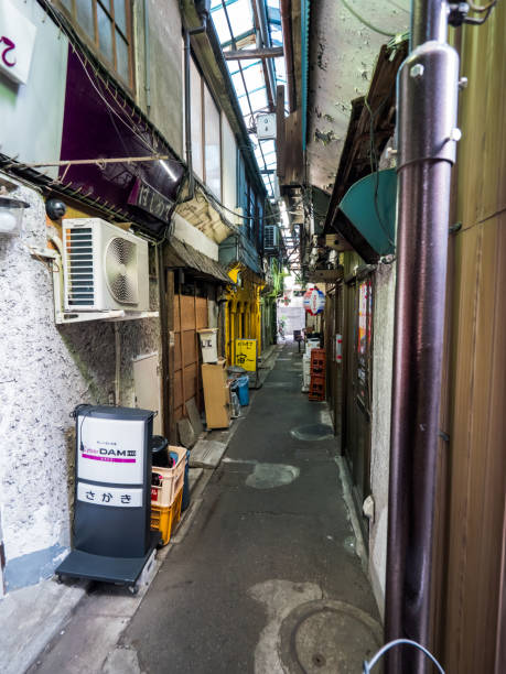 istock Tateishi, Tokyo Japan 803662218