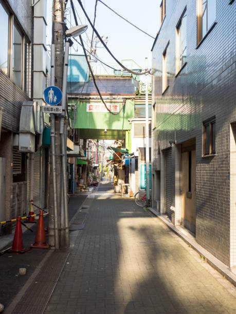 istock Tateishi, Tokyo Japan 803662320