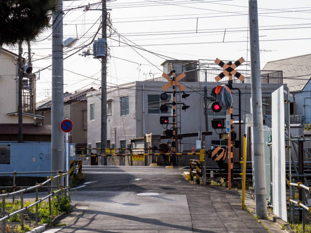 istock Tateishi, Tokyo Japan 803662350