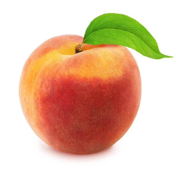 istock Peach with leaf. Full depth of field. 803667764