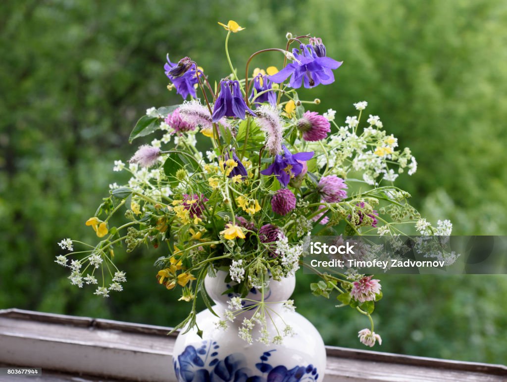 Yaz penceresinde kır çiçekleri buketi - Royalty-free Ağaç Çiçeği Stok görsel