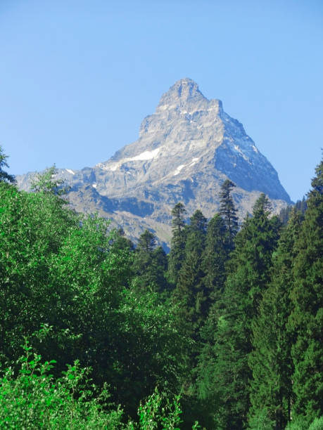 istock Caucasus mountains and forest under clear blue sky 803690730