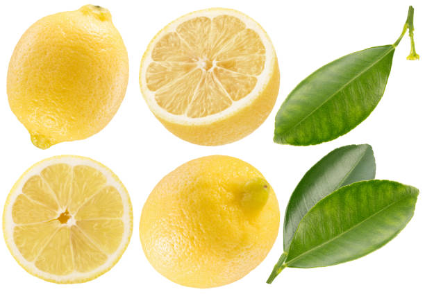 istock collection of lemons isolated on a white background 803694202