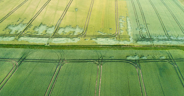 istock Agricultural area, fields - aerial view 803703362
