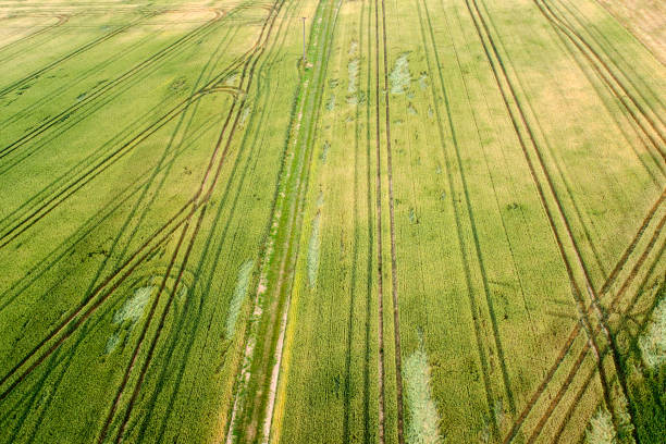 istock Agricultural area, fields - aerial view 803703416