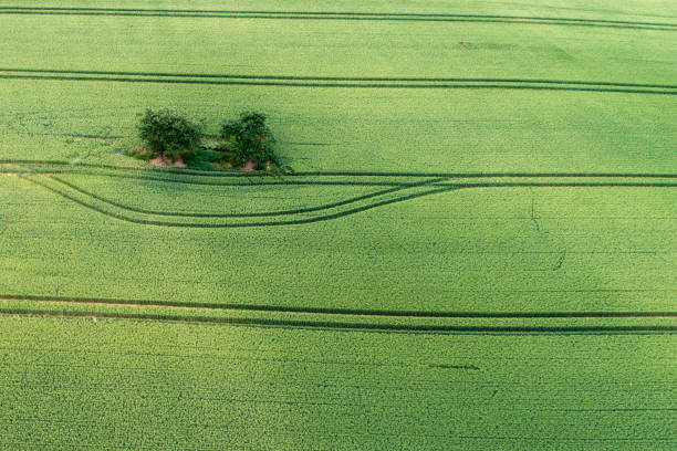 istock Agricultural area, fields - aerial view 803705550