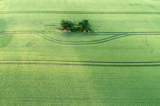 istock Agricultural area, fields - aerial view 803707818