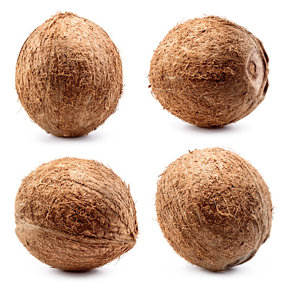 Coconut. Coconut isolated on white. Collection. Full depth of field.