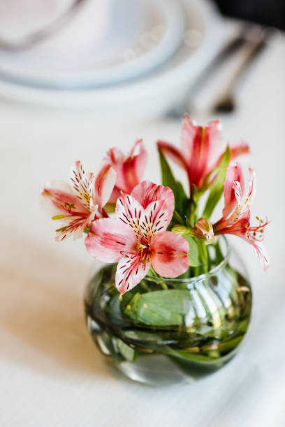 istock Pink orchid flower with water in transparent vase 803717840