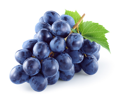 Grape. Dark grape. Grapes with leaves isolated. With clipping path. Full depth of field.