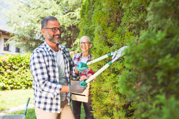 istock Greenery with mature couple 803748860